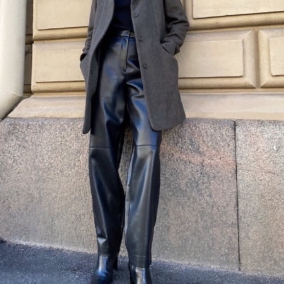 Aritzia Pants - Aritzia Bica Pants